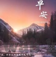 足球比分同角球-揭秘足球比分背后的角球密码，数据与战术的双重博弈